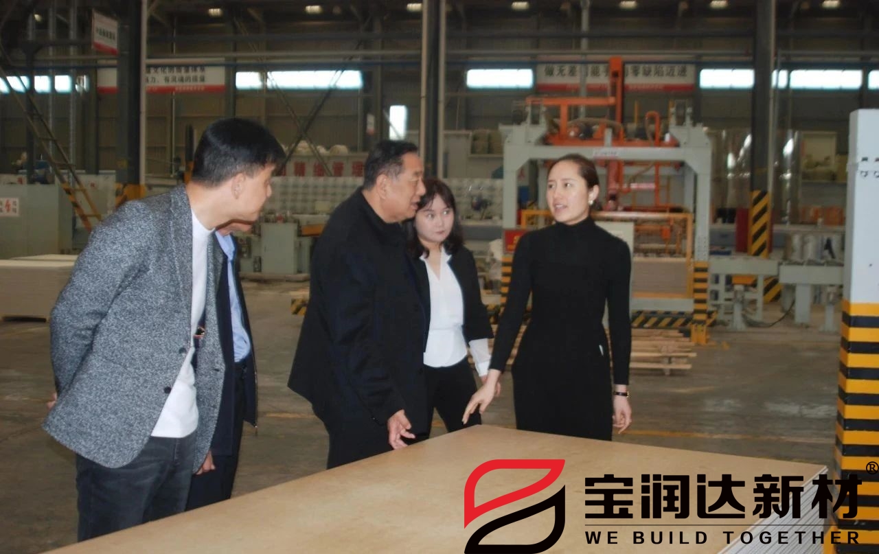 龍蟒佰利聯(lián)集團(tuán)董事長(zhǎng)一行來訪寶潤達(dá)