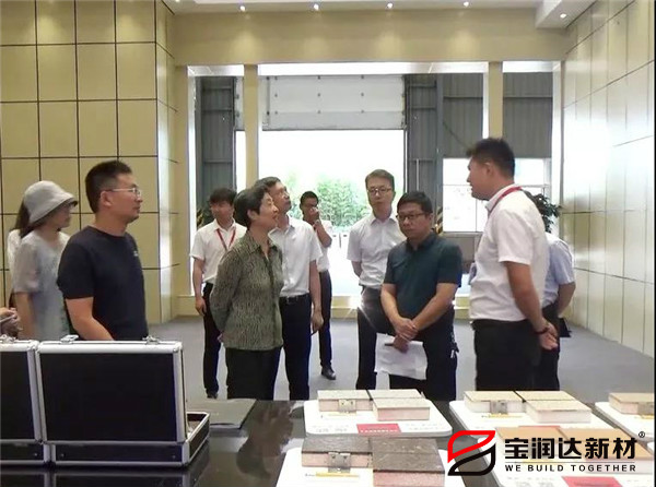 國(guó)家住建部專家組蒞臨寶潤(rùn)達(dá)參觀考察