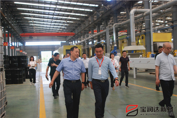 副市長趙勝業(yè)一行來訪寶潤達考察調(diào)研