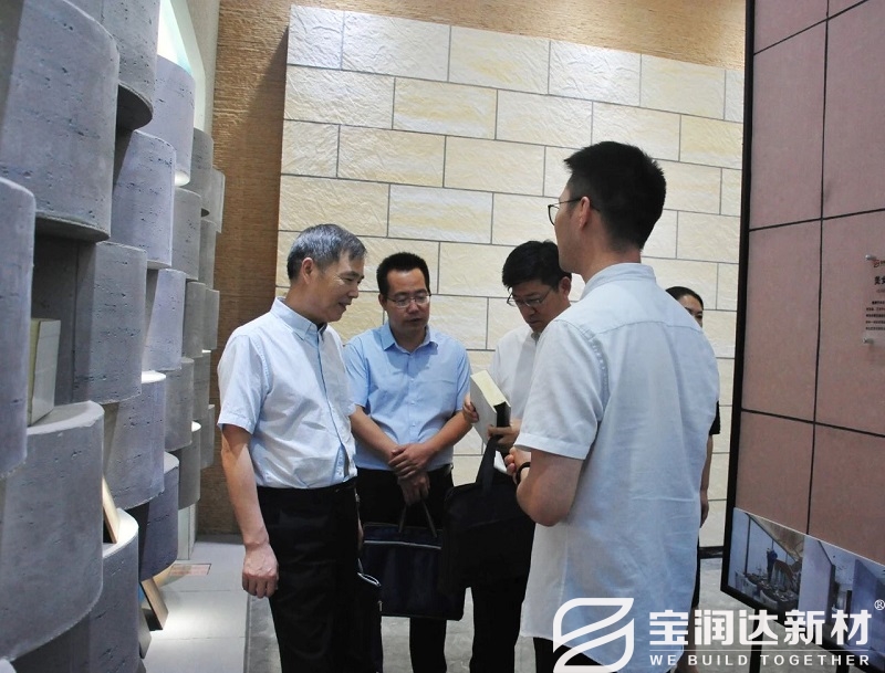 河南省商務廳領(lǐng)導參觀寶潤達節(jié)能板材